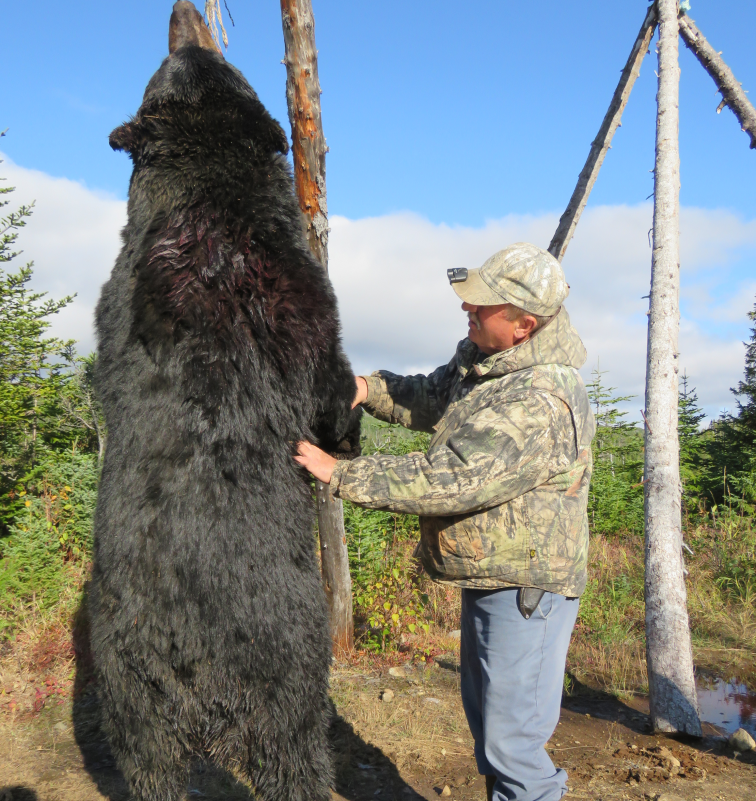 Bear Img Outfitting